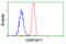 GRIP1 Associated Protein 1 antibody, LS-C114941, Lifespan Biosciences, Flow Cytometry image 