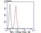 Sodium Voltage-Gated Channel Alpha Subunit 9 antibody, NBP2-75583, Novus Biologicals, Flow Cytometry image 