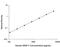 Vascular Endothelial Growth Factor C antibody, DVEC00, R&D Systems, Enzyme Linked Immunosorbent Assay image 