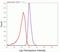 Neural Cell Adhesion Molecule 1 antibody, 710388, Invitrogen Antibodies, Flow Cytometry image 