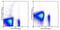 CD96 Molecule antibody, 12-0969-42, Invitrogen Antibodies, Flow Cytometry image 