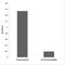 Tensin 2 antibody, P30917, Boster Biological Technology, Immunohistochemistry paraffin image 