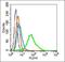 Geminin DNA Replication Inhibitor antibody, orb1117, Biorbyt, Flow Cytometry image 