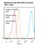 CD13 antibody, LS-C777360, Lifespan Biosciences, Flow Cytometry image 