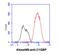 Complement component 1 Q subcomponent-binding protein, mitochondrial antibody, NBP2-42691, Novus Biologicals, Flow Cytometry image 