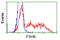 Follicle Stimulating Hormone Subunit Beta antibody, TA501602, Origene, Flow Cytometry image 