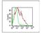 CD209 Molecule antibody, DDX0205P-100, Novus Biologicals, Flow Cytometry image 