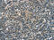 Selenoprotein N antibody, CSB-PA782198, Cusabio, Immunohistochemistry frozen image 