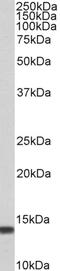 Oxysterol Binding Protein Like 3 antibody, 46-109, ProSci, Enzyme Linked Immunosorbent Assay image 