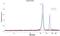 Threonyl-tRNA synthetase, cytoplasmic antibody, NBP1-89427, Novus Biologicals, Western Blot image 