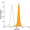 T-Box 21 antibody, IC5385C, R&D Systems, Flow Cytometry image 