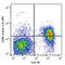 CD96 Molecule antibody, 131712, BioLegend, Flow Cytometry image 