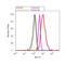 N-Myc Downstream Regulated 1 antibody, 42-6200, Invitrogen Antibodies, Flow Cytometry image 