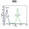 Guanylate-binding protein 7 antibody, abx032339, Abbexa, Flow Cytometry image 