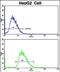 Cytochrome P450 Family 2 Subfamily J Member 2 antibody, PA5-72516, Invitrogen Antibodies, Flow Cytometry image 