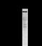 Cadherin 11 antibody, MA1-06306, Invitrogen Antibodies, Western Blot image 