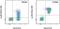 Lymphocyte Antigen 6 Family Member D antibody, 48-5974-80, Invitrogen Antibodies, Flow Cytometry image 