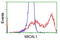 NEDD9-interacting protein with calponin homology and LIM domains antibody, LS-C115726, Lifespan Biosciences, Flow Cytometry image 