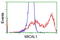 Microtubule Associated Monooxygenase, Calponin And LIM Domain Containing 1 antibody, LS-C115726, Lifespan Biosciences, Flow Cytometry image 