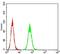 P2Y Receptor Family Member 8 antibody, NBP2-61765, Novus Biologicals, Enzyme Linked Immunosorbent Assay image 