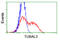 Tubulin Alpha Like 3 antibody, TA503907, Origene, Flow Cytometry image 
