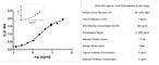 Interleukin 2 antibody, AHP1032, Bio-Rad (formerly AbD Serotec) , Western Blot image 