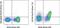 Signaling Lymphocytic Activation Molecule Family Member 1 antibody, 46-1502-82, Invitrogen Antibodies, Flow Cytometry image 