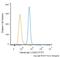 Calreticulin antibody, NBP1-47518F, Novus Biologicals, Flow Cytometry image 