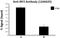 Interferon Regulatory Factor 3 antibody, 655704, BioLegend, Chromatin Immunoprecipitation image 