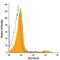 C-Type Lectin Domain Family 2 Member D antibody, FAB3480A, R&D Systems, Flow Cytometry image 