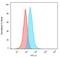 CD74 Molecule antibody, GTX34551, GeneTex, Flow Cytometry image 