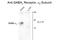 Gamma-Aminobutyric Acid Type A Receptor Alpha6 Subunit antibody, GTX82684, GeneTex, Western Blot image 