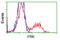 Fyn Related Src Family Tyrosine Kinase antibody, LS-C114623, Lifespan Biosciences, Flow Cytometry image 