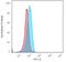 Cytochrome C, Somatic antibody, GTX34621, GeneTex, Flow Cytometry image 