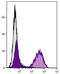 CD74 antibody, 99-030, ProSci, Immunohistochemistry frozen image 