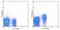 Interleukin 7 Receptor antibody, 25-1271-82, Invitrogen Antibodies, Flow Cytometry image 