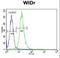 WD Repeat Domain 5B antibody, LS-C160596, Lifespan Biosciences, Flow Cytometry image 