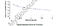 Triiodothyronine antibody, MBS2000350, MyBioSource, Enzyme Linked Immunosorbent Assay image 