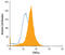 Signal Transducer And Activator Of Transcription 5A antibody, MAB21741, R&D Systems, Flow Cytometry image 