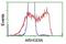 Rho GDP Dissociation Inhibitor Alpha antibody, NBP2-02467, Novus Biologicals, Flow Cytometry image 