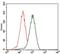 Polyhomeotic Homolog 1 antibody, NBP2-37371, Novus Biologicals, Flow Cytometry image 