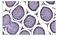 Basigin (Ok Blood Group) antibody, A00248-3, Boster Biological Technology, Immunohistochemistry paraffin image 