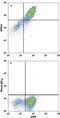 G Protein-Coupled Receptor 15 antibody, MAB3654, R&D Systems, Flow Cytometry image 