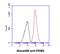 Pyruvate Kinase M1/2 antibody, NBP2-42686, Novus Biologicals, Flow Cytometry image 