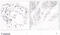 Mitogen-Activated Protein Kinase 6 antibody, MBS004547, MyBioSource, Immunohistochemistry paraffin image 