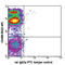 Glutamyl Aminopeptidase antibody, 108305, BioLegend, Flow Cytometry image 