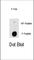 Integrin Linked Kinase antibody, abx032006, Abbexa, Western Blot image 