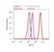 SMAD2 antibody, 44-244G, Invitrogen Antibodies, Flow Cytometry image 