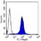 Melanoma Cell Adhesion Molecule antibody, GTX18166, GeneTex, Flow Cytometry image 