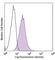 TNF Superfamily Member 4 antibody, 108802, BioLegend, Flow Cytometry image 